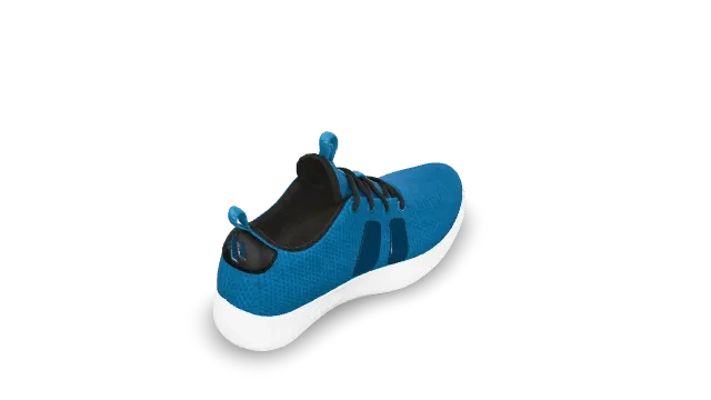 MaterialsVariantsShoe