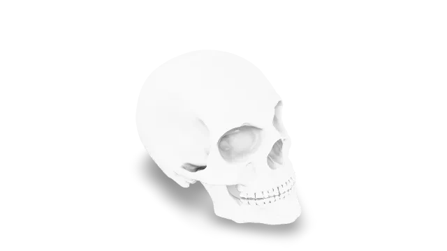 ScatteringSkull