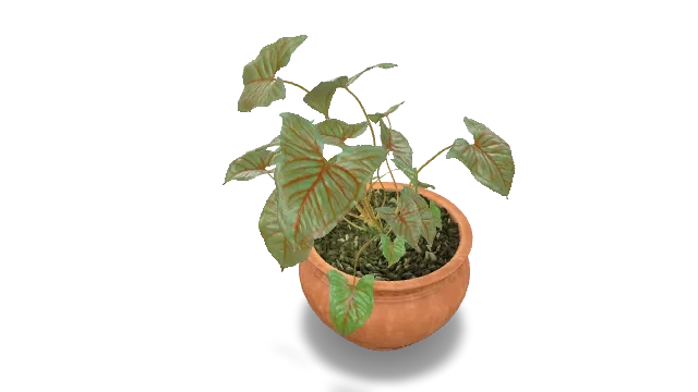 DiffuseTransmissionPlant